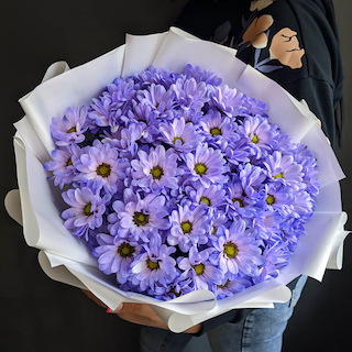 Купить букет из 11 фиолетовых кустовых хризантем в Омске с доставкой